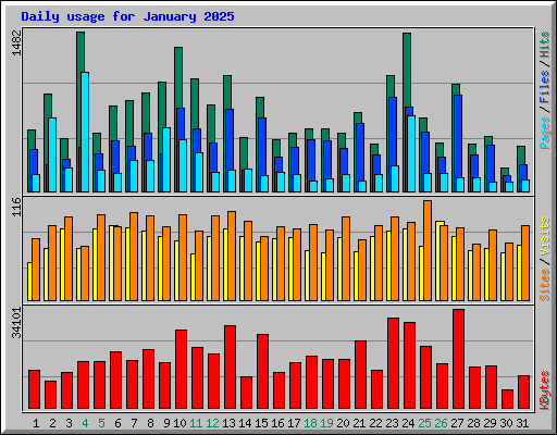 Daily usage for January 2025