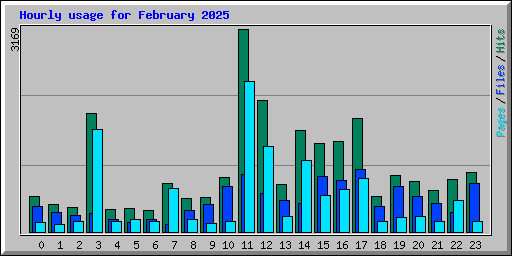 Hourly usage for February 2025