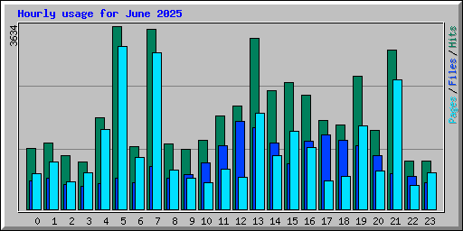 Hourly usage for June 2025