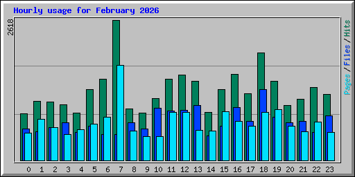 Hourly usage for February 2026